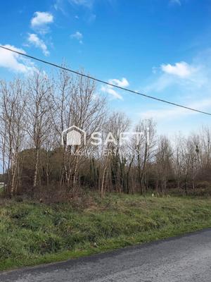 Terrain - 7 419 m²