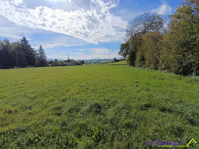 Terrain - 1 383 m²