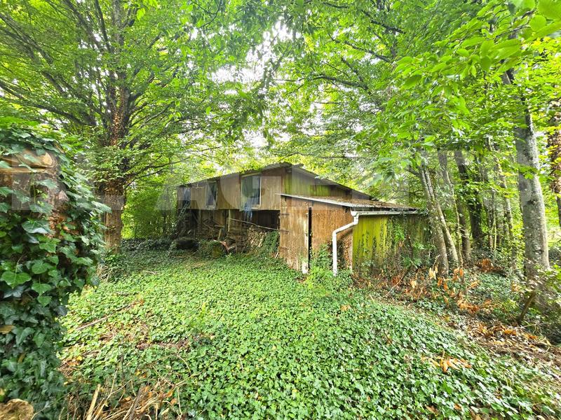 Maison en pierre - 135 m² - 6 pièces