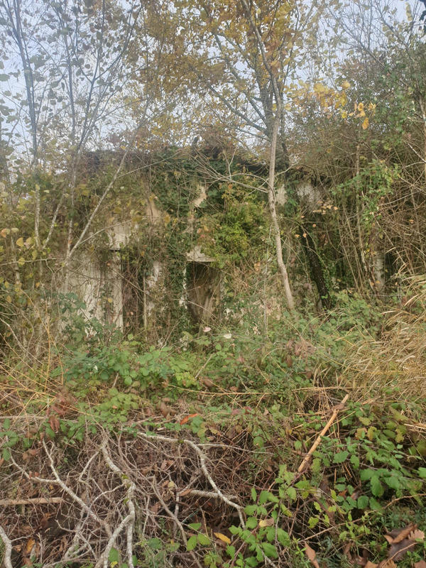 Maison - 215 m² - 3 pièces