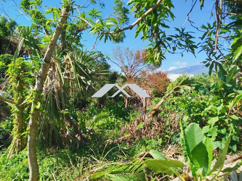 Maison ancienne - 110 m² - 5 pièces