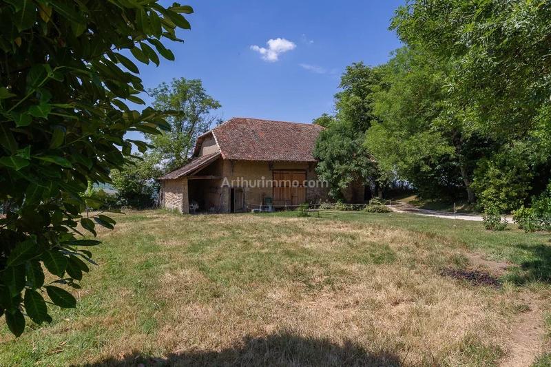 Viager - Maison - 185 m² - 7 pièces