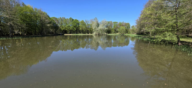 Propriété - 205 m² - 5 pièces