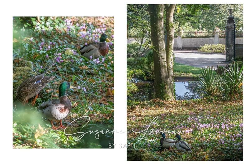 Appartement - 113 m² - 5 pièces