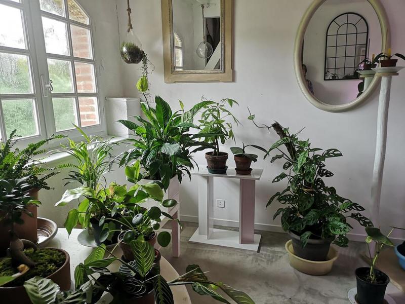 Maison - 380 m² - 12 pièces