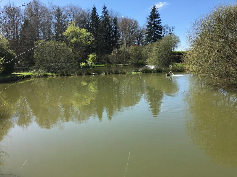 Maison - 209 m² - 7 pièces