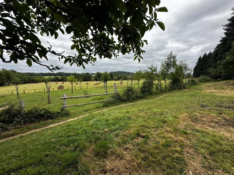 Terrain - 57 753 m²