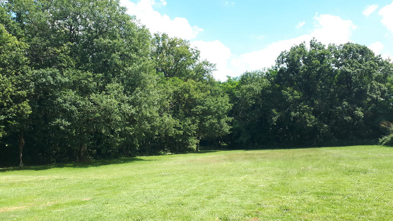 Propriété - 335 m² - 12 pièces