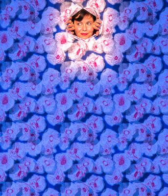 Eclipse et Coquelicot