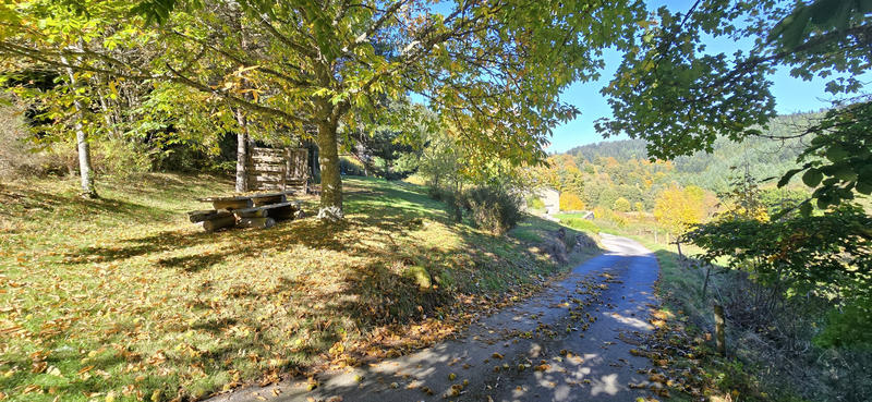 Maison - 398 m² - 14 pièces