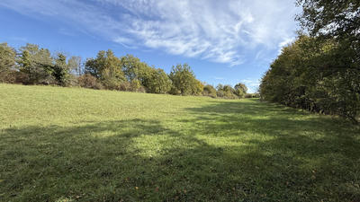 Terrain - 7 050 m²