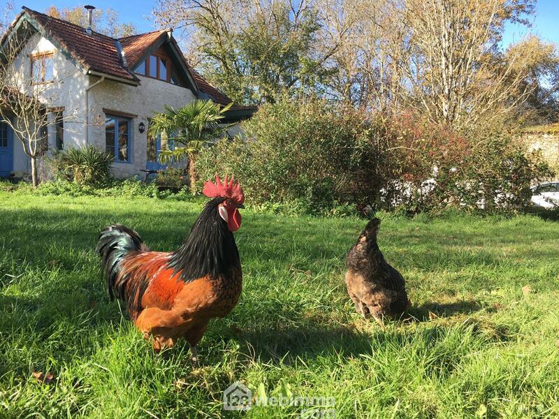 Maison - 315 m² - 10 pièces