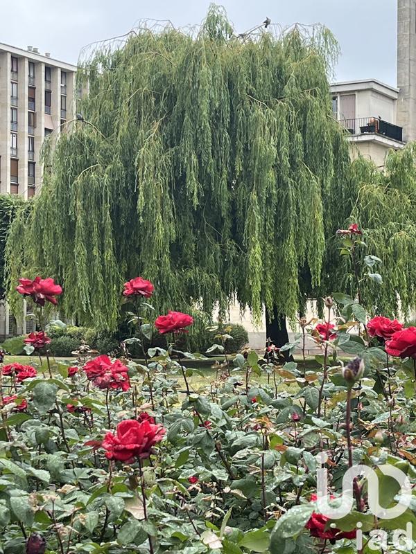 Appartement - 56 m² - 3 pièces