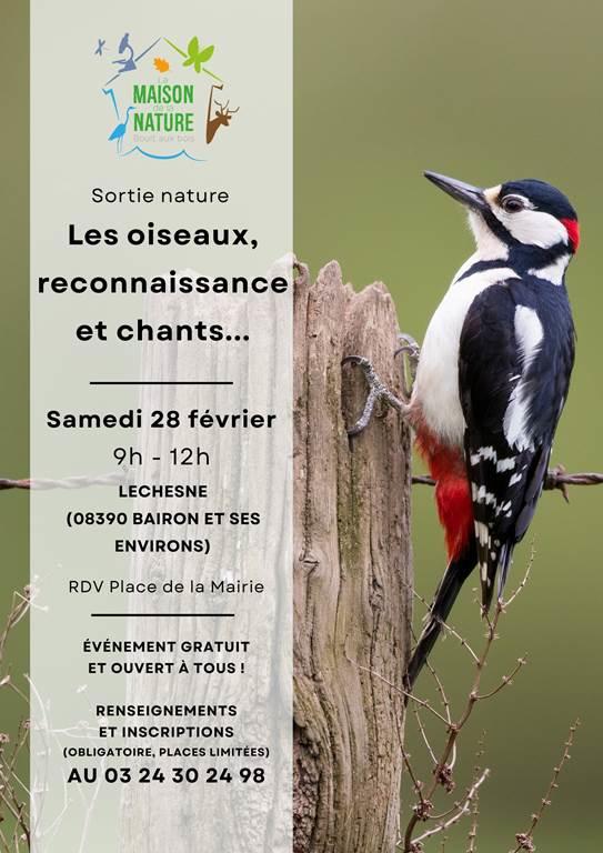 Les oiseaux, reconnaissance et chants