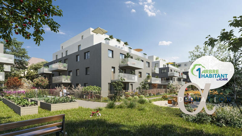 Appartement - 45 m² - 2 pièces