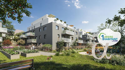 Appartement - 45 m² - 2 pièces