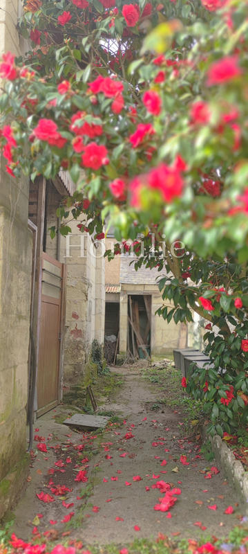 Maison - 116 m² - 4 pièces