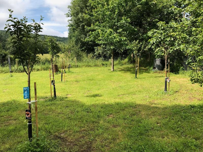 Maison ancienne - 450 m² - 12 pièces