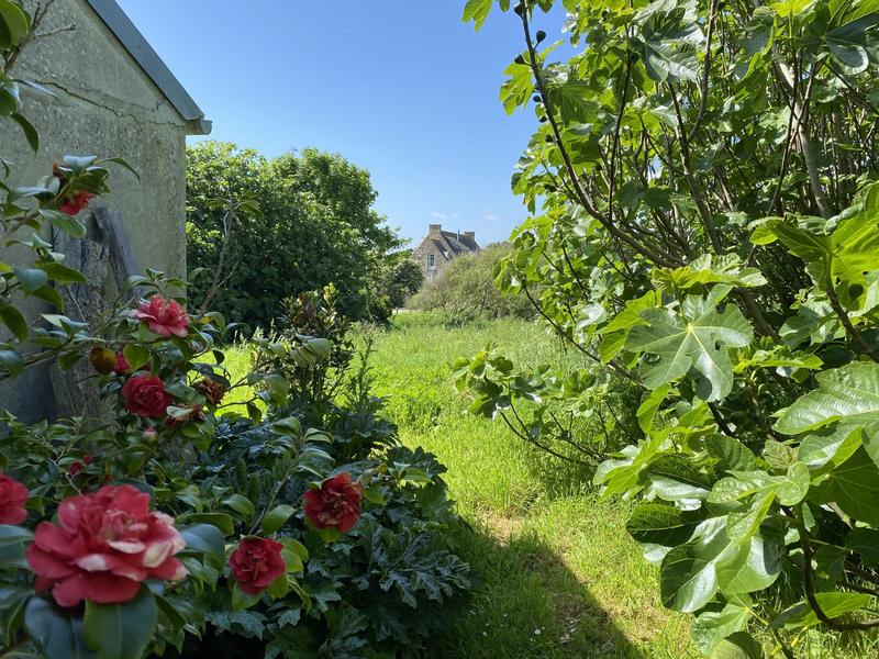 Maison ancienne - 220 m² - 12 pièces