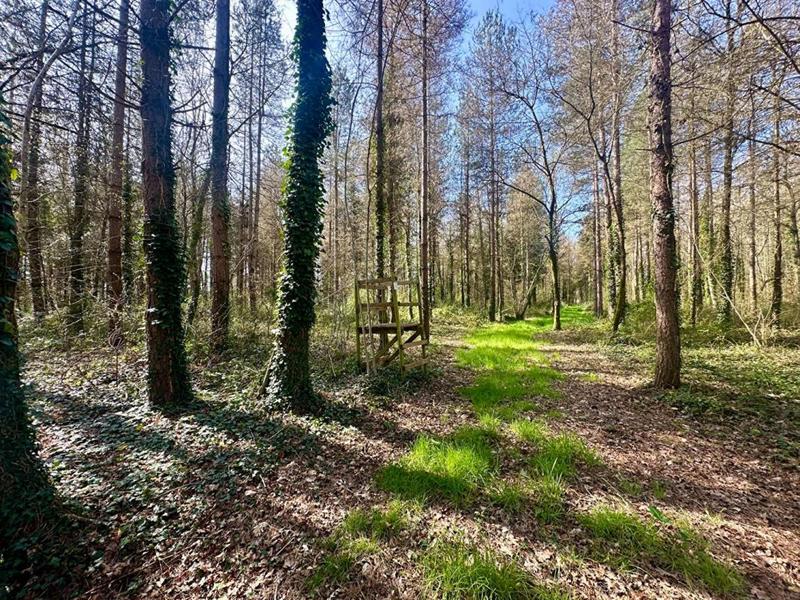 Maison - 109 m² - 4 pièces