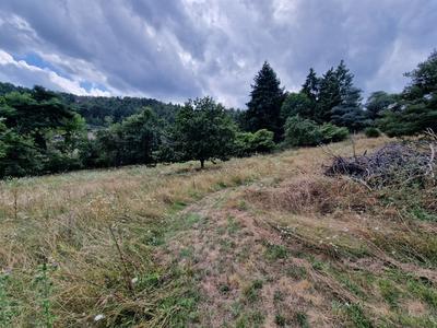 Terrain constructible - 1 271 m²