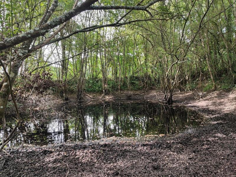 Maison - 136 m² - 5 pièces