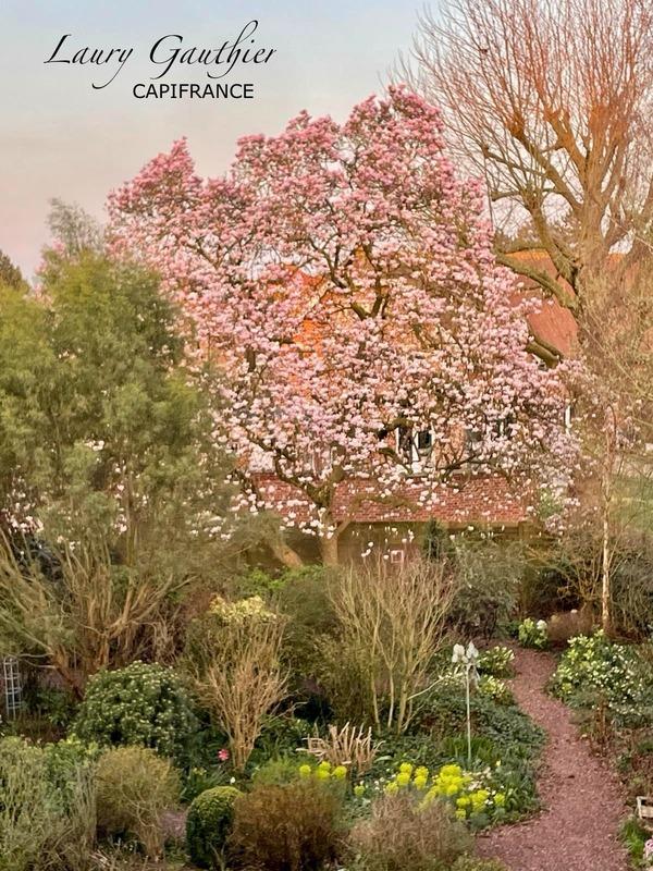 Maison bourgeoise - 435 m² - 15 pièces