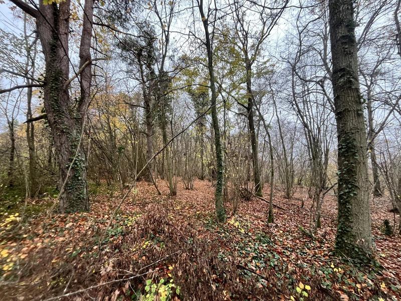 Terrain - 108 475 m²