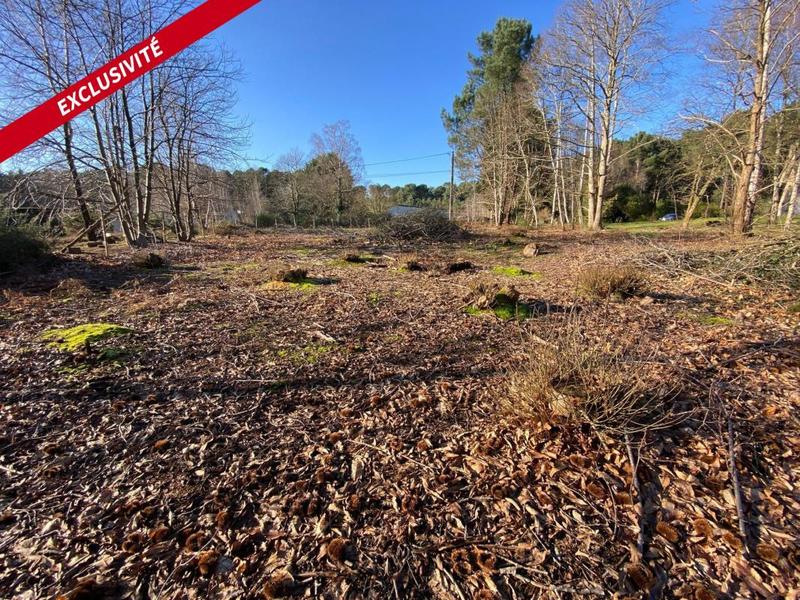 Terrain constructible - 1 081 m²