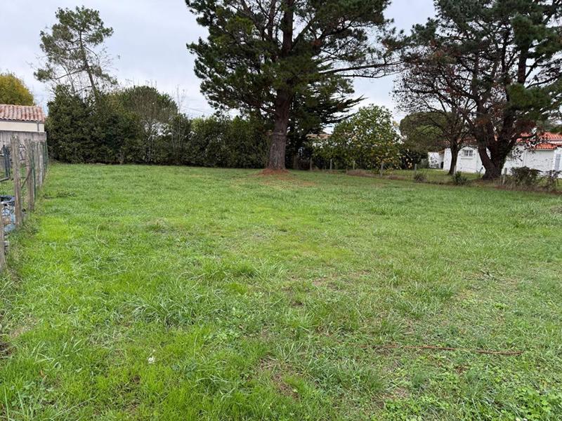 Terrain constructible - 784 m²