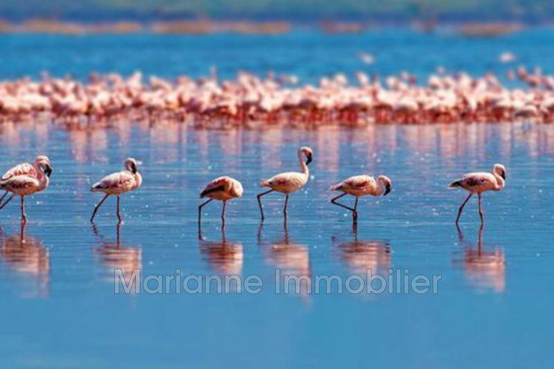 Appartement - 81 m² - 3 pièces