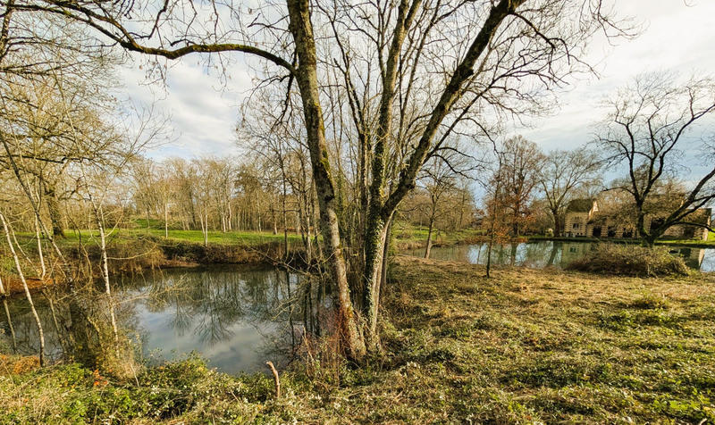 Fonds de commerce - 4 500 m²