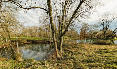 Fonds de commerce - 4 500 m²