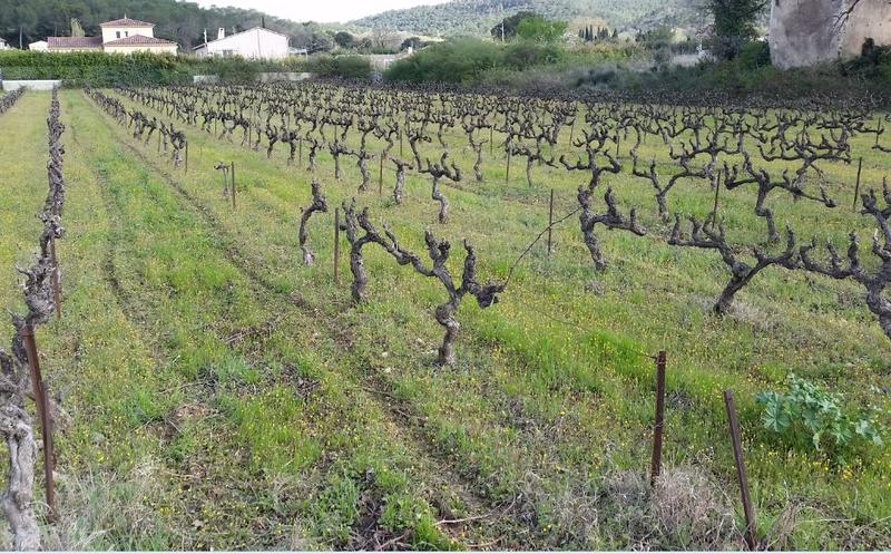 Terrain constructible - 1 200 m²