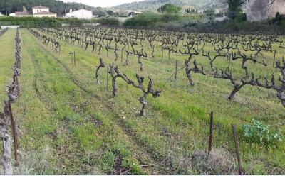 Terrain constructible - 1 200 m²