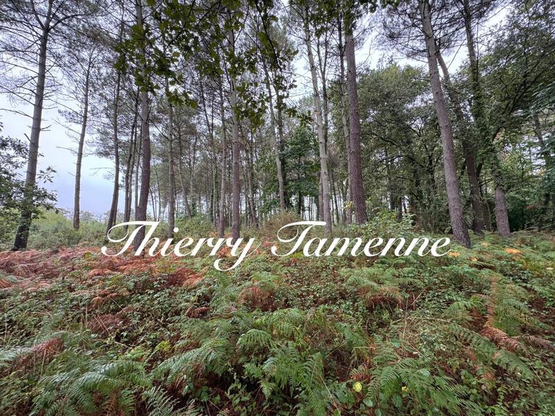 Terrain - 51 575 m²