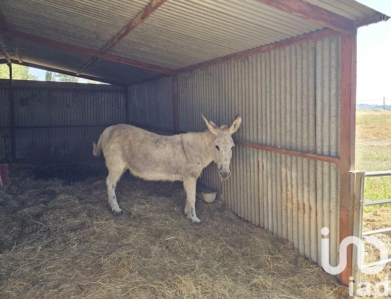 Maison - 373 m² - 16 pièces