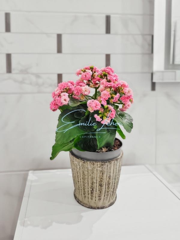 Immeuble - 92 m² - 6 pièces