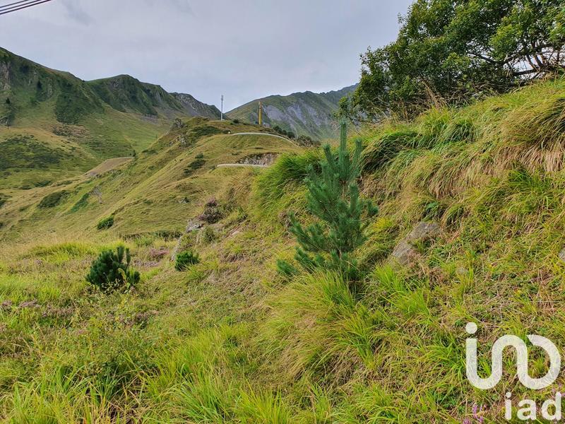 Ferme - 70 m² - 2 pièces