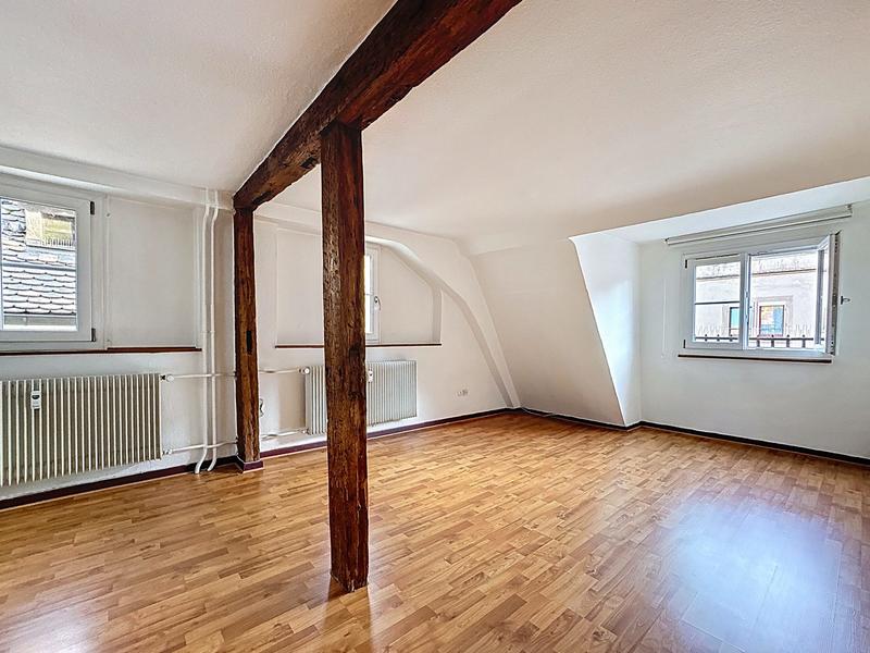 Duplex - 46 m² - 2 pièces