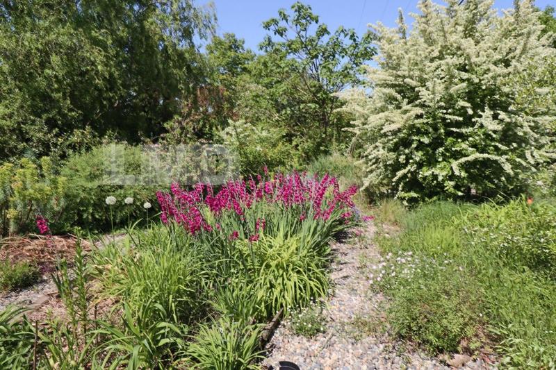 Maison chambre d'hôtes - 310 m² - 8 pièces