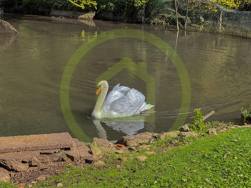 Maison - 241 m² - 8 pièces