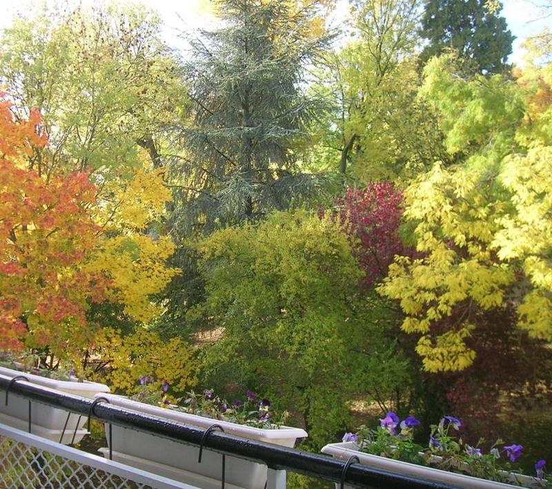 Appartement - 40 m² - 1 pièce