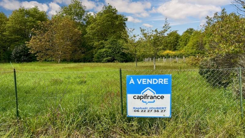 Terrain constructible - 1 446 m²