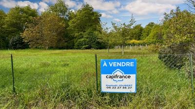 Terrain constructible - 1 446 m²