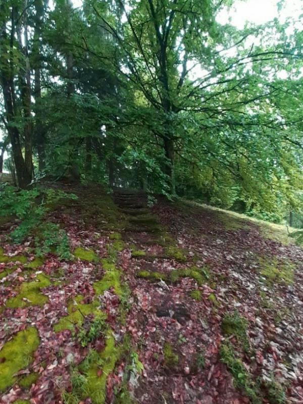 Maison - 31 m² - 2 pièces