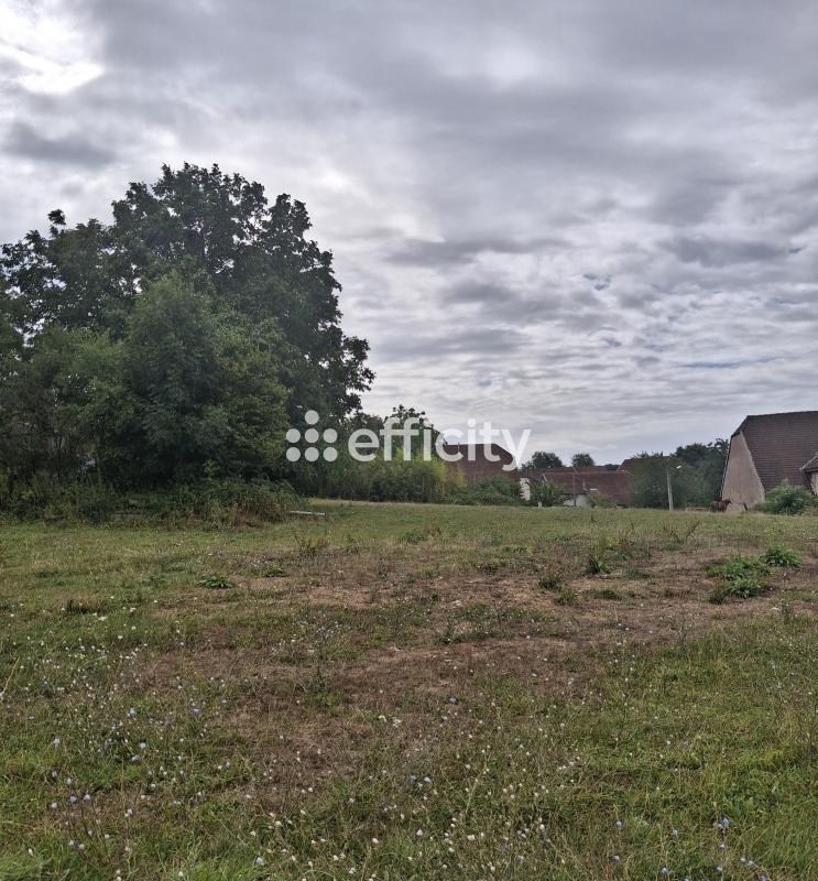 Terrain - 1 514 m²