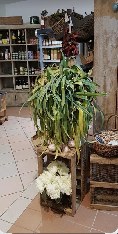 Fonds de commerce - 41 m²