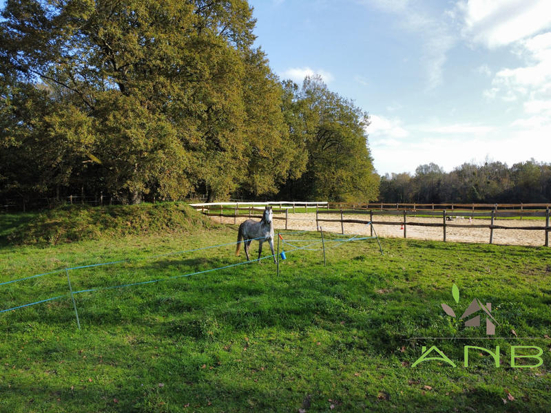 Manoir - 230 m² - 8 pièces