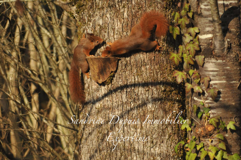 Maison - 155 m² - 6 pièces